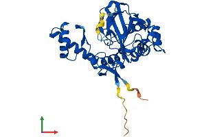 Protein Structure (PS) image for 2-Oxoglutarate and Iron-Dependent Oxygenase Domain Containing 2 (OGFOD2) (AA 1-349) protein (His tag) (ABIN7560496)