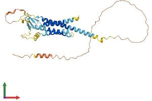 Protein Structure (PS) image for Calcium Channel, Voltage-Dependent, gamma Subunit 4 (CACNG4) (AA 1-327) protein (His tag) (ABIN7561610)