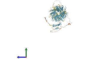 AlphaFold protein structure predicition of Human Recombinant ZNF729 Protein, UniprotID A6NN14