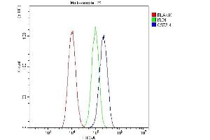 Flow Cytometry analysis of A549 cells using anti-Cystatin C/CST3 antibody (ABIN6719299). (CST3 抗体  (AA 31-146))