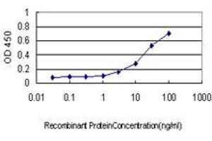 Detection limit for recombinant GST tagged PSCD1 is approximately 1ng/ml as a capture antibody. (Cytohesin 1 抗体  (AA 1-398))