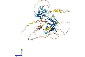 Protein Structure (PS) image for SHC (Src Homology 2 Domain Containing) Transforming Protein 2 (SHC2) (AA 1-582) protein (His tag) (ABIN7545979)