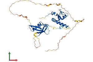 Protein Structure (PS) image for Polycomb Group Ring Finger 2 (PCGF2) (AA 1-344) protein (His tag) (ABIN7554903)