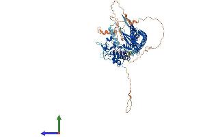 Protein Structure (PS) image for Tousled-Like Kinase 2 (TLK2) (AA 1-718) protein (His tag) (ABIN7562470)
