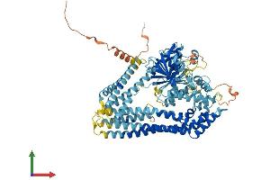 Protein Structure (PS) image for Nuclear GTPase, Germinal Center Associated (NUGGC) (AA 1-796) protein (His tag) (ABIN7555523)
