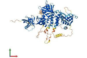AlphaFold protein structure predicition of Mouse Recombinant Fermt1 Protein, UniprotID P59113
