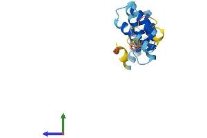 Protein Structure (PS) image for Fission 1 (FIS1) (AA 1-152) protein (His tag) (ABIN7560520)
