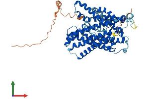 Protein Structure (PS) image for Solute Carrier Family 36 (Proton/amino Acid Symporter), Member 2 (SLC36A2) (AA 1-483) protein (His tag) (ABIN7551627)