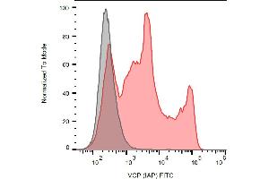 Separation of human sperm cells stained using anti-VCP (Hs-14) FITC antibody (concentration in sample 3 μg/mL, red) from unstained human sperm cells (black) in flow cytometry analysis (intracellular staining). (VCP 抗体  (FITC))