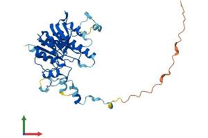 Protein Structure (PS) image for FtsJ RNA Methyltransferase Homolog 1 (FTSJ1) (AA 1-329) protein (His tag) (ABIN7544778)