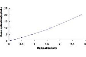 Typical standard curve (NFRKB ELISA 试剂盒)