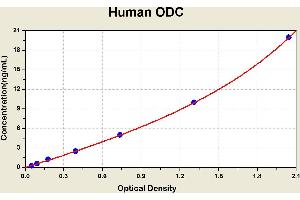Diagramm of the ELISA kit to detect Human ODCwith the optical density on the x-axis and the concentration on the y-axis. (ODC1 ELISA 试剂盒)