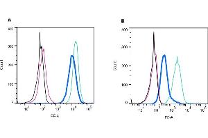 Establishing the effectiveness of the Rabbit IgG Isotype Control, alongside cell surface detection of NK1R by indirect flow cytometry in live intact mouse J774 macrophage cell line. (兔 IgG 同型对照)