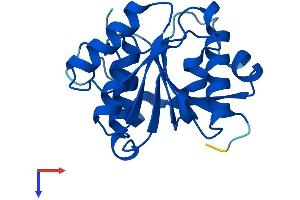 AlphaFold protein structure predicition of Human Recombinant METTL23 Protein, UniprotID Q86XA0