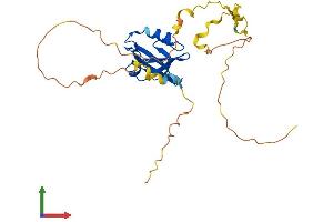 Protein Structure (PS) image for PDZ Domain Containing 9 (PDZD9) (AA 1-266) protein (His tag) (ABIN7561177)