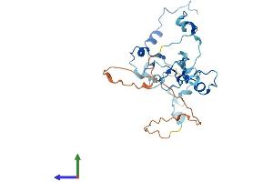 Protein Structure (PS) image for Cleavage and Polyadenylation Specific Factor 4, 30kDa (CPSF4) (AA 1-269) protein (His tag) (ABIN7546693)