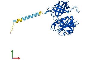 Protein Structure (PS) image for Cytochrome B5 Reductase 1 (CYB5R1) (AA 1-305) protein (His tag) (ABIN7549728)