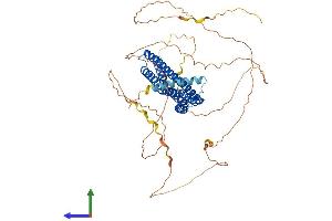 AlphaFold protein structure predicition of Human Recombinant BIN2 Protein, UniprotID Q9UBW5
