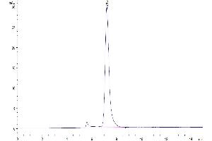 The purity of Mouse CD27 is greater than 95 % as determined by SEC-HPLC.