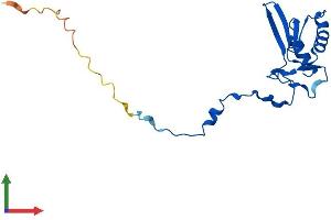 Protein Structure (PS) image for Mitochondrial Ribosomal Protein L49 (MRPL49) (AA 1-166) protein (His tag) (ABIN7560510)