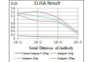 Black line: Control Antigen (100 ng), Purple line: Antigen(10 ng), Blue line: Antigen (50 ng), Red line: Antigen (100 ng), (CD6 抗体  (AA 472-668))