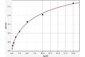 Typical standard curve (ZAP70 ELISA 试剂盒)