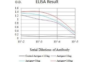 Black line: Control Antigen (100 ng),Purple line: Antigen (10 ng), Blue line: Antigen (50 ng), Red line:Antigen (100 ng) (FADD 抗体  (AA 20-150))