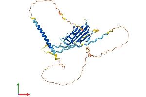 Protein Structure (PS) image for Ectodysplasin A (EDA) (AA 1-391) protein (His tag) (ABIN7547287)