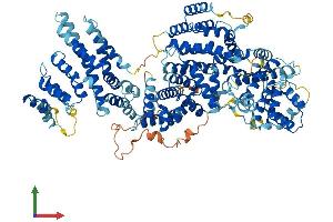 Protein Structure (PS) image for Mediator Complex Subunit 24 (MED24) (AA 1-989) protein (His tag) (ABIN7554547)