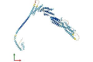 Protein Structure (PS) image for Conserved oligomeric Golgi complex subunit 2 (COG2) (AA 1-738) protein (His tag) (ABIN7546726)