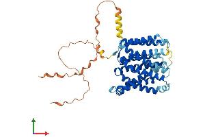 Protein Structure (PS) image for Solute Carrier Family 35, Member F1 (SLC35F1) (AA 1-408) protein (His tag) (ABIN7545900)