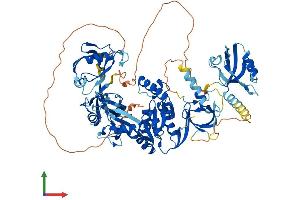 Protein Structure (PS) image for Discs, Large Homolog 4 (Drosophila) (DLG4) (AA 1-724) protein (His tag) (ABIN7553669)