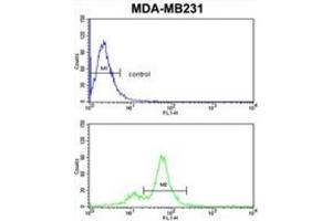 Flow Cytometry (FACS) image for anti-Cytochrome P450, Family 2, Subfamily A, Polypeptide 13 (CYP2A13) antibody (ABIN3003850)