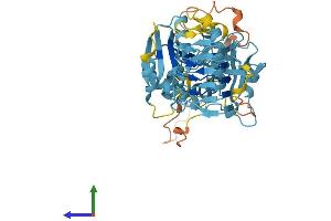 Protein Structure (PS) image for Eukaryotic Translation Initiation Factor 2B, Subunit 3 Gamma, 58kDa (EIF2B3) (AA 1-452) protein (His tag) (ABIN7547342)