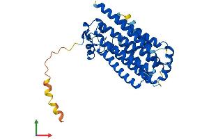 AlphaFold protein structure predicition of Human Recombinant PAQR7 Protein, UniprotID Q86WK9