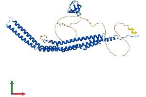 AlphaFold protein structure predicition of Human Recombinant PACSIN2 Protein, UniprotID Q9UNF0