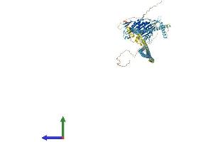 Protein Structure (PS) image for Kinesin Family Member 11 (KIF11) (AA 1-1052) protein (His tag) (ABIN7564100)