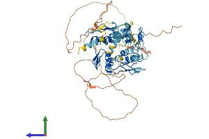 Protein Structure (PS) image for Zinc Finger Protein 10 (ZNF10) (AA 1-573) protein (His tag) (ABIN7545851)