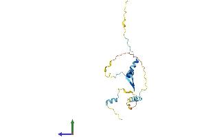Protein Structure (PS) image for Nucleolar Protein 12 (NOL12) (AA 1-217) protein (His tag) (ABIN7558517)