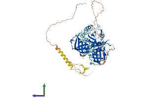 AlphaFold protein structure predicition of Mouse Recombinant Gspt2 Protein, UniprotID Q149F3