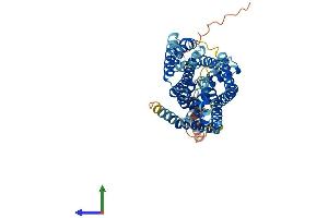 Protein Structure (PS) image for Solute Carrier Family 38 Member 1 (SLC38A1) (AA 1-487) protein (His tag) (ABIN7555313)
