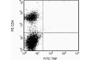 The binding of the FITC-MP6-XT22 antibody was blocked by preincubation of the antibody conjugate with recombinant mouse TNF (0. (TNF alpha 抗体)