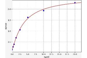 Typical standard curve (Stabilin 2 (STAB2) ELISA 试剂盒)