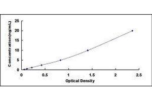 Typical standard curve (REG3g ELISA 试剂盒)