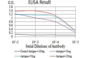 Black line: Control Antigen (100 ng);Purple line: Antigen (10ng); Blue line: Antigen (50 ng); Red line:Antigen (100 ng) (TdT 抗体  (AA 52-192))