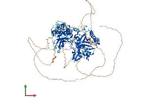AlphaFold protein structure predicition of Mouse Recombinant Dnmt3b Protein, UniprotID O88509