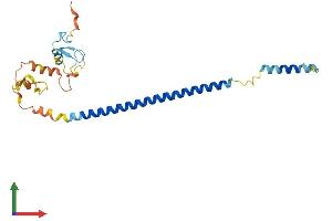 Protein Structure (PS) image for Ring Finger Protein 187 (RNF187) (AA 1-235) protein (His tag) (ABIN7551492)