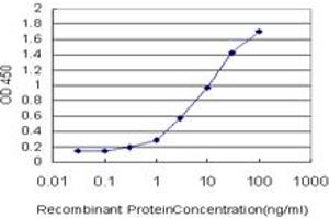 Detection limit for recombinant GST tagged GHRL is approximately 0. (Ghrelin 抗体  (AA 1-117))