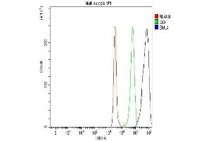 Flow Cytometry analysis of A549 cells using anti-EML4 antibody (ABIN6719384).