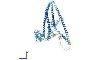 AlphaFold protein structure predicition of Mouse Recombinant Ccdc22 Protein, UniprotID Q9JIG7 (CCDC22 Protein (AA 1-627) (His tag))